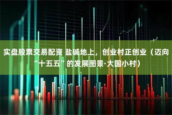 实盘股票交易配资 盐碱地上，创业村正创业（迈向“十五五”的发展图景·大国小村）