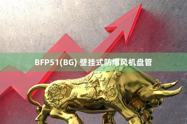 BFP51(BG) 壁挂式防爆风机盘管