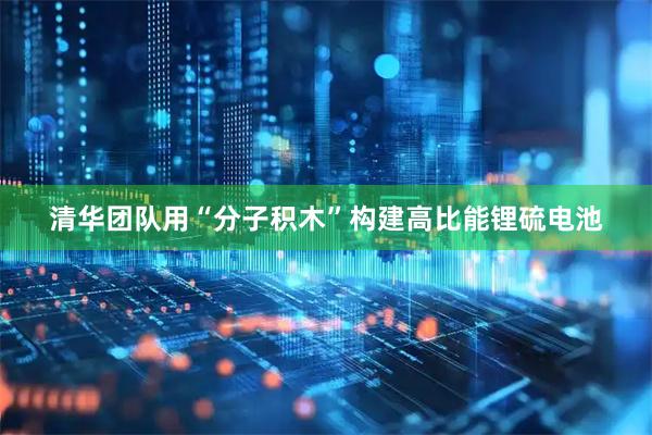 清华团队用“分子积木”构建高比能锂硫电池